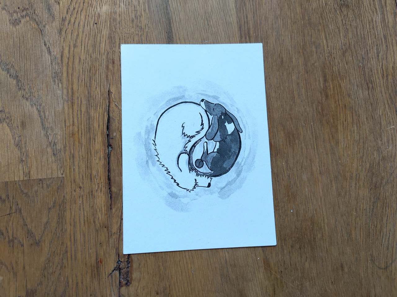 postcard with two dogs lying together like a yin yang